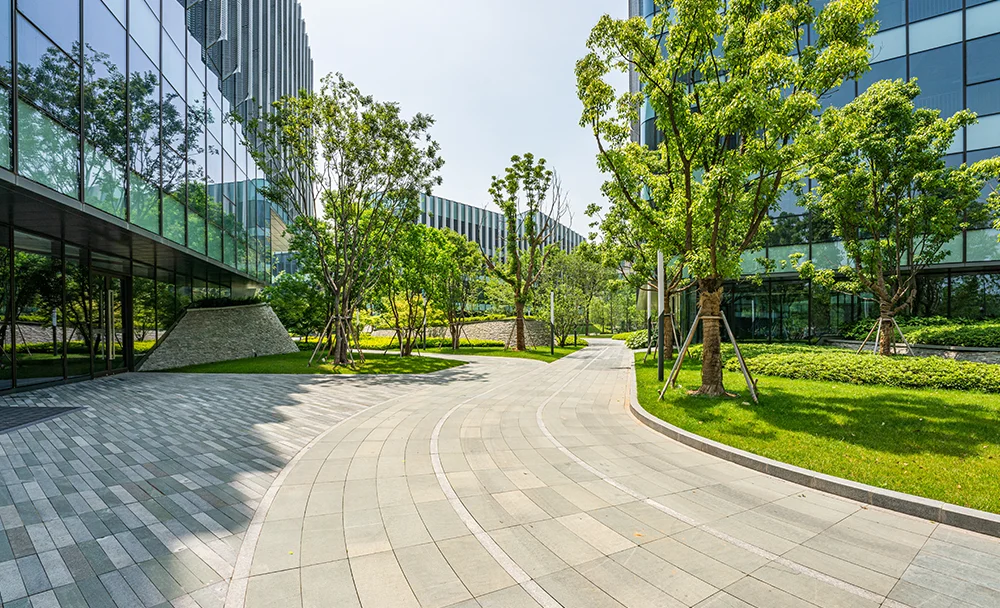 mt-gebaeudereinigung-management-bild-3